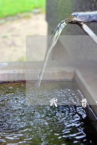 武漢首例校園貸(校園貸最新案例)