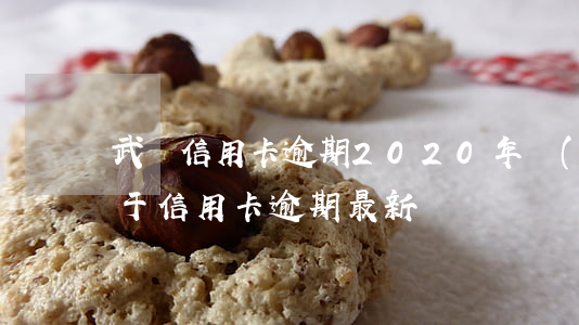 武鳴信用卡逾期 2020年關(guān)于信用卡逾期最新標準