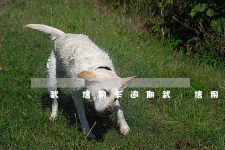 武鳴信用卡逾期 武鳴信用卡逾期