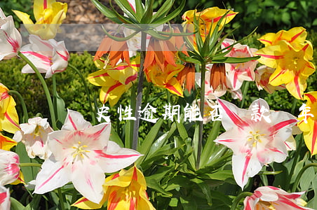 歷史性逾期能否貸款(幾年前逾期能貸款嗎)