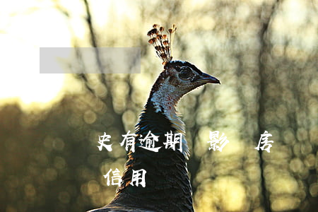 歷史有逾期會影響房貸嗎(房貸逾期多久會影響信用)