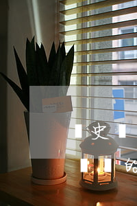 歷史遺留違法建筑的房子可以買嗎(歷史遺留問題的房子可以辦房產(chǎn)證嗎)