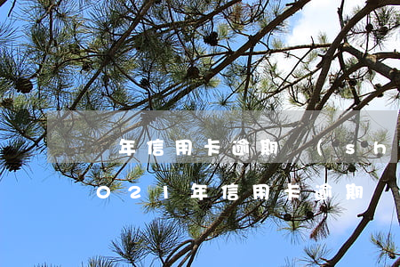 歷年信用卡逾期數(shù)據(jù)(2021年信用卡逾期統(tǒng)計)