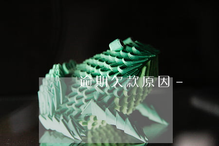 歸還逾期欠款原因-歸還逾期欠款原因