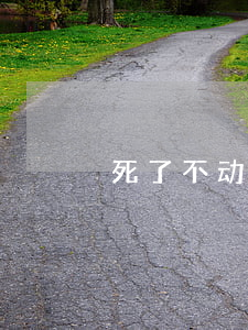 死了不动产怎么继承(死亡财产继承)