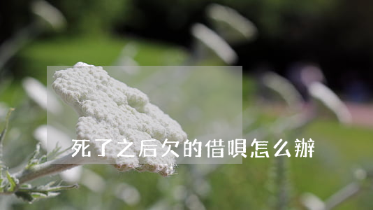 死了之后欠的借唄怎么辦