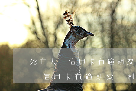 死亡人員信用卡有逾期要還利息嗎-死亡人員信用卡有逾期要還利息嗎知乎