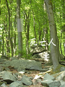 死亡人員信用卡有逾期要還利息嗎(意外死亡還要還銀行信用卡欠款嗎)