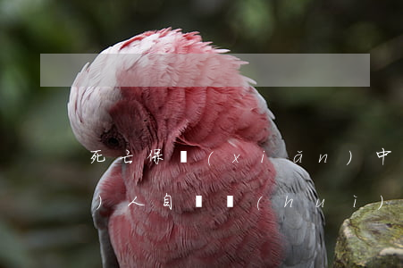死亡保險(xiǎn)中被保險(xiǎn)人自殺會(huì)有怎樣的法律后果