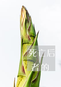 死亡后債務(wù)會(huì)繼承嗎(死者的債務(wù)由誰(shuí)繼承)
