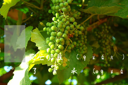 死亡后股權(quán)是家人繼承嗎(人死了還有繼承權(quán)嗎)