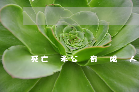 死亡繼承公證有時限嗎(人死亡辦理公證繼承)