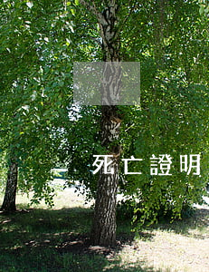 死亡證明怎么寫