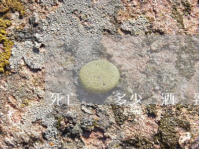 死亡賠償多少錢(酒駕致人死亡賠償多少錢)