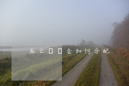 死亡賠償金如何分配