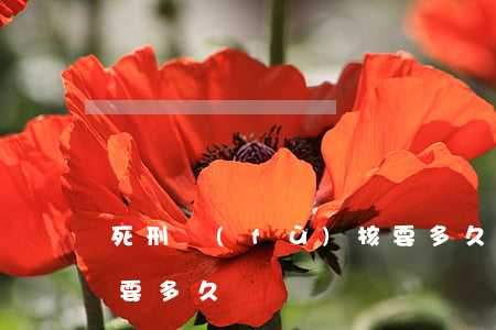 死刑復(fù)核要多久(死刑復(fù)核要多久)