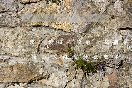死刑復核程序的合議庭是由哪些人組成的,合議庭人員有什么要求