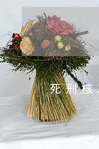 死刑核准按照什么程序进行