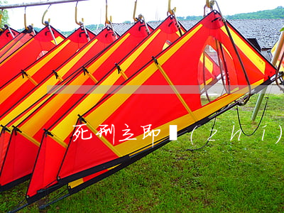 死刑立即執(zhí)行能活幾天