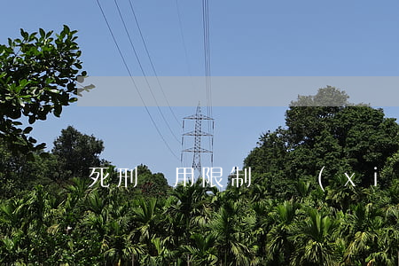 死刑適用限制體現(xiàn)在哪些方面