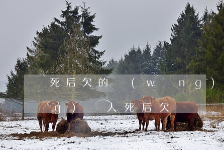 死后欠的網(wǎng)貸誰還(網(wǎng)貸人死后欠債歸誰還)