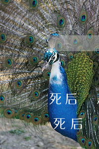死后貸款債務(wù)誰(shuí)償還(死后銀行貸款由誰(shuí)償還)