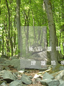 死后離婚怎么補(bǔ)辦(丈夫死后可以辦理離婚嗎)