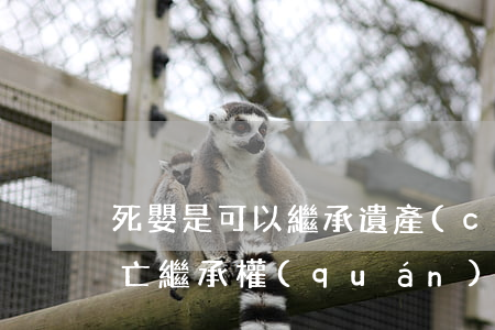 死嬰是可以繼承遺產(chǎn)嗎(胎兒死亡繼承權(quán))