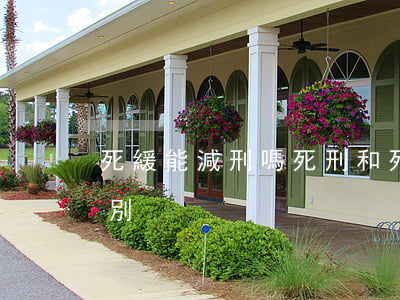 死緩能減刑嗎,死刑和死緩有什么區(qū)別