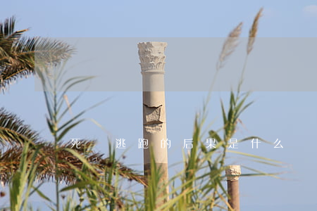 死緩逃跑的后果是什么
