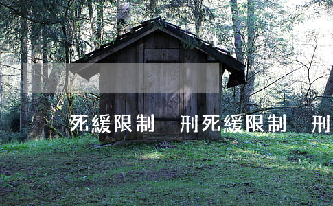 死緩限制減刑(死緩限制減刑最多服刑多少年)
