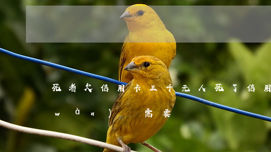 死者欠信用卡三千元(人死了信用卡欠3萬(wàn)還需要)