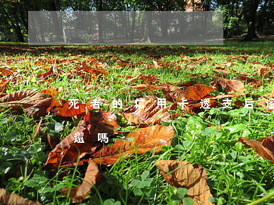 死者的信用卡透支后還用嗎(死者的信用卡要還嗎)