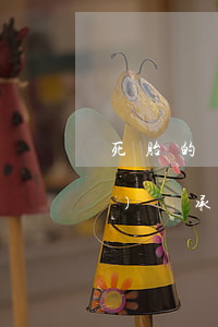死胎的繼承怎么處理(死胎的遺產(chǎn)繼承)