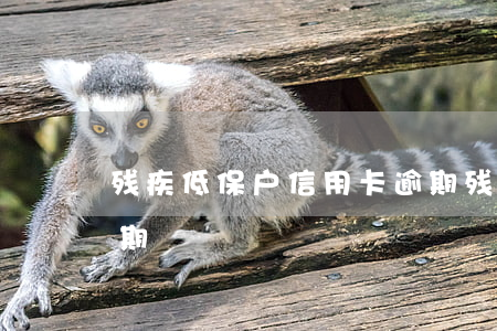 残疾低保户信用卡逾期(残疾低保户信用卡逾期)