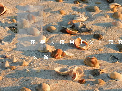 殘疾人信用卡欠2萬(殘疾人信用卡欠2萬怎么辦)