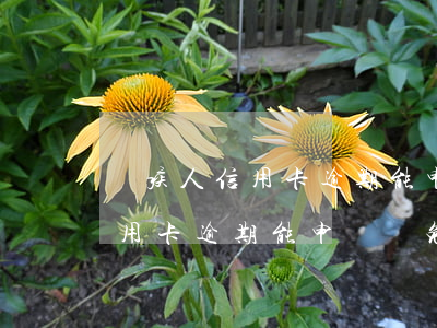 殘疾人信用卡逾期能申請減免嗎-殘疾人信用卡逾期能申請減免嗎嗎