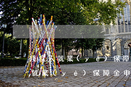 殘疾人就業(yè)保障金如何計算（殘疾人就業(yè)保障金申報方式）