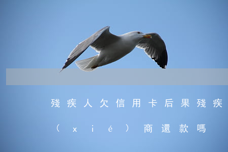 殘疾人欠信用卡后果(殘疾人信用卡逾期能協(xié)商還款嗎)