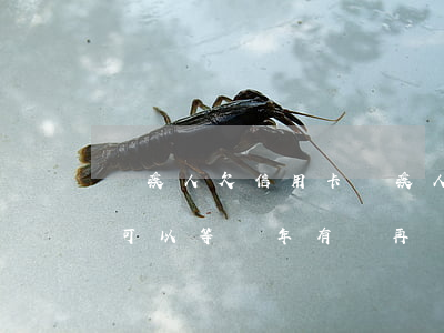 殘疾人欠信用卡(殘疾人欠信用卡還不上,可不可以等幾年有錢再還)