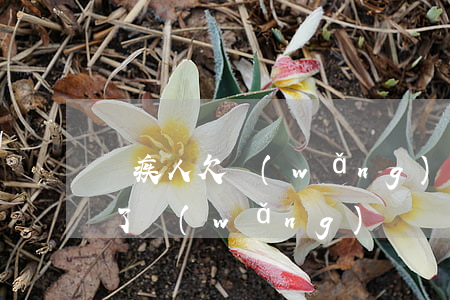 殘疾人欠網(wǎng)貸怎么辦(殘疾人借了網(wǎng)貸無力償還會坐牢嗎)
