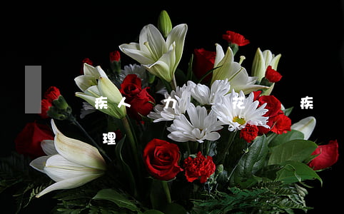 殘疾人無力償還花唄(殘疾沒有錢還花唄怎么處理)