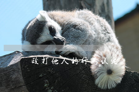 殴打他人的行为认定