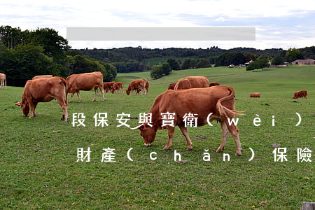 段保安與寶衛(wèi)江、王四林、華安財產(chǎn)保險股份有限公司洛陽中心支公司機(jī)動車交通事故責(zé)任糾紛一審民事判決書