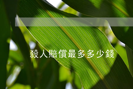 殺人賠償最多多少錢