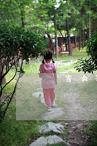 殺害女孩的司機欠網貸(網貸害死人案例)