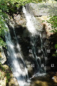 母亲信用卡逾期影响儿子(父亲办信用卡逾期起诉以后对子女有何影响)