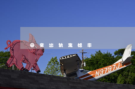 母亲出轨离婚率