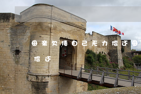 母亲欠债自己无力偿还(母亲欠债子女不需要偿还)