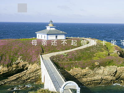 母亲还不起信用卡坐牢10年